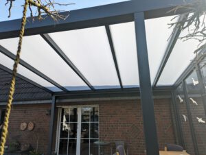 PXL_20240229_100741064